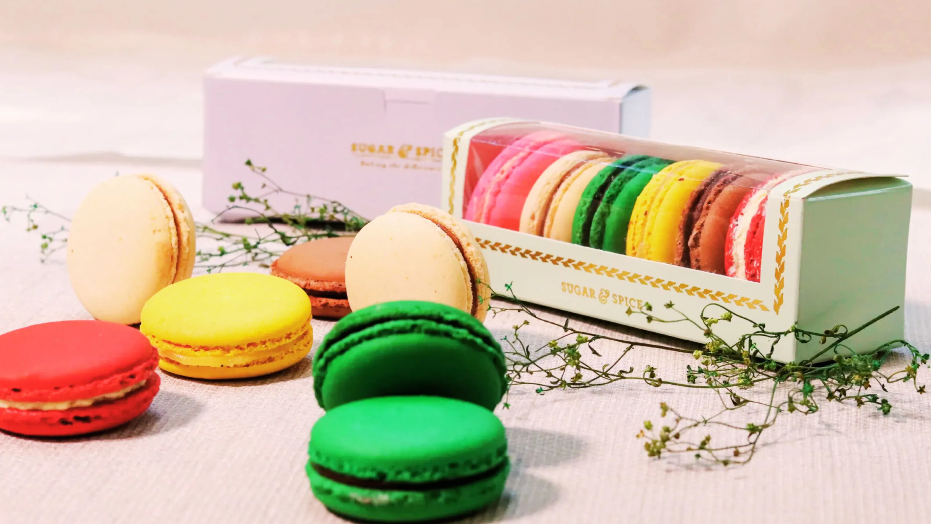 Unique Macaron Packaging Concepts That Enhance Brand Appeal and Visibility