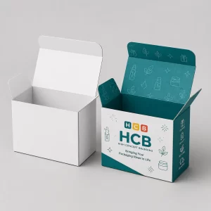 Custom cardboard subscription boxes with a hinged lid and teal branded interior for quality retail presentation.