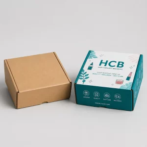 Branded teal subscription boxes and a plain kraft version ideal for monthly eco-friendly product kits.