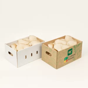 Two cardboard mushroom trays with side handles- one white and one featuring green leaf motifs