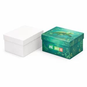 Two tall rectangular product boxes, one blank white and one printed with custom turtle graphics.